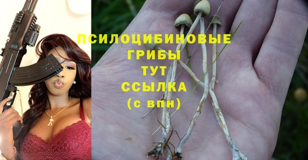 синтетический гашиш Абдулино